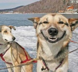Smile1.jpg