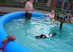 grillen-im-pool.jpg