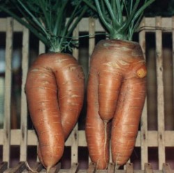 NATURALE-7.jpg