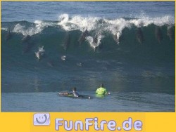 was-kommt-denn-da.jpg
