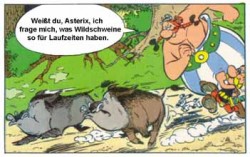 wildschwein.jpg