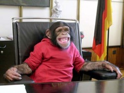 affe_400q.jpg