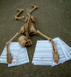 Arbeit2.jpeg