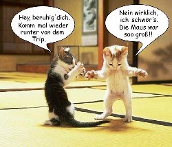 b13.jpg (39.87 KiB) 114555 mal betrachtet b13.jpg