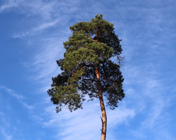 IMG_0034_bearbeitet.JPG